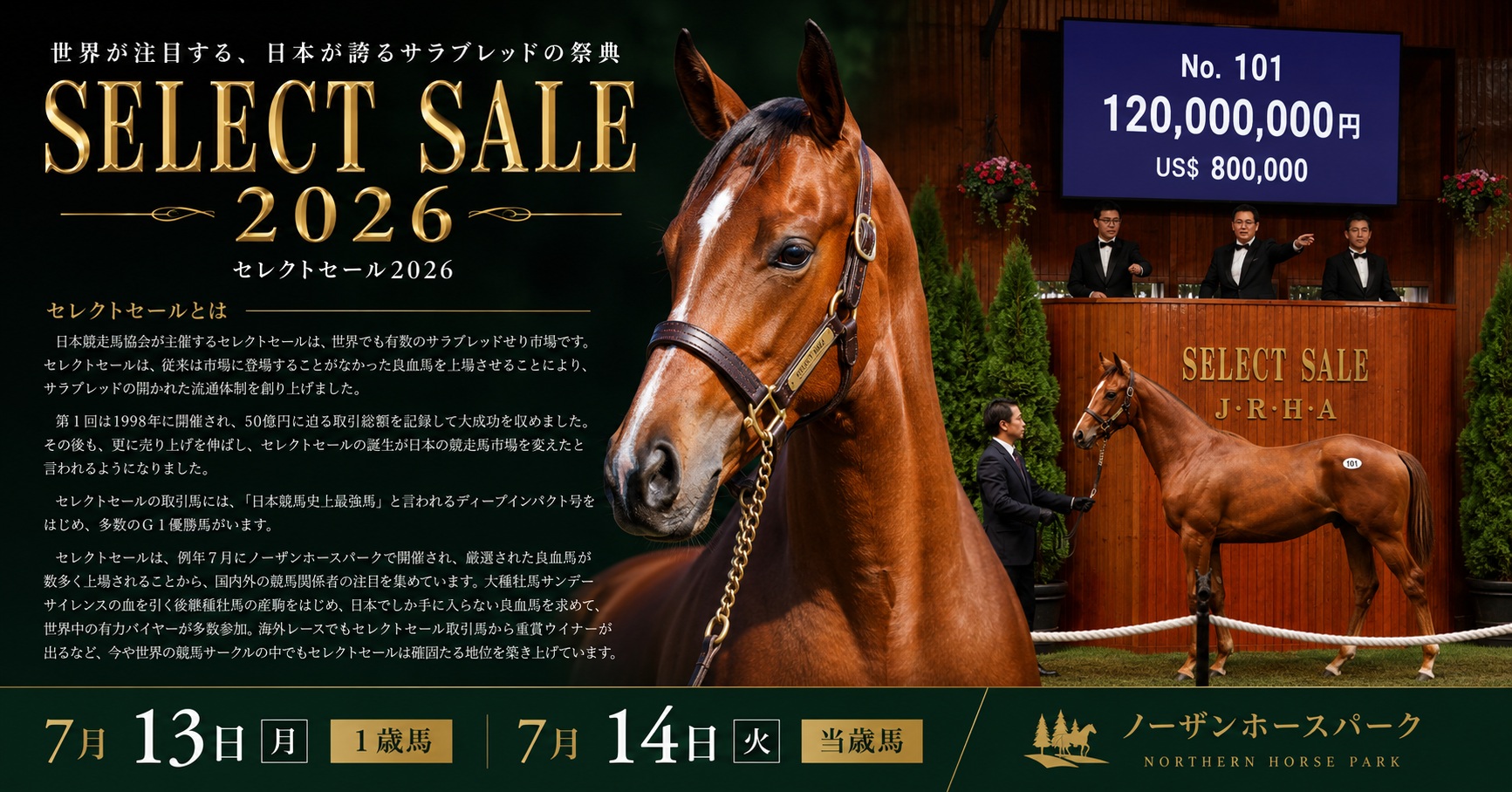 セレクトセール2026 1日目 結果速報 | RBN